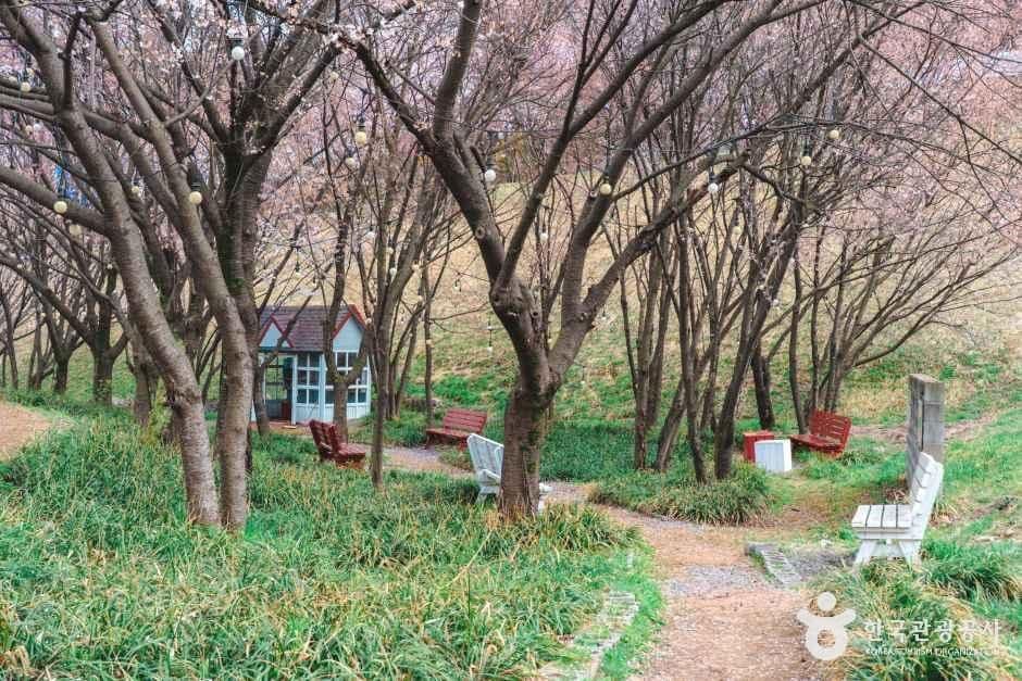 설봉공원 사진 1