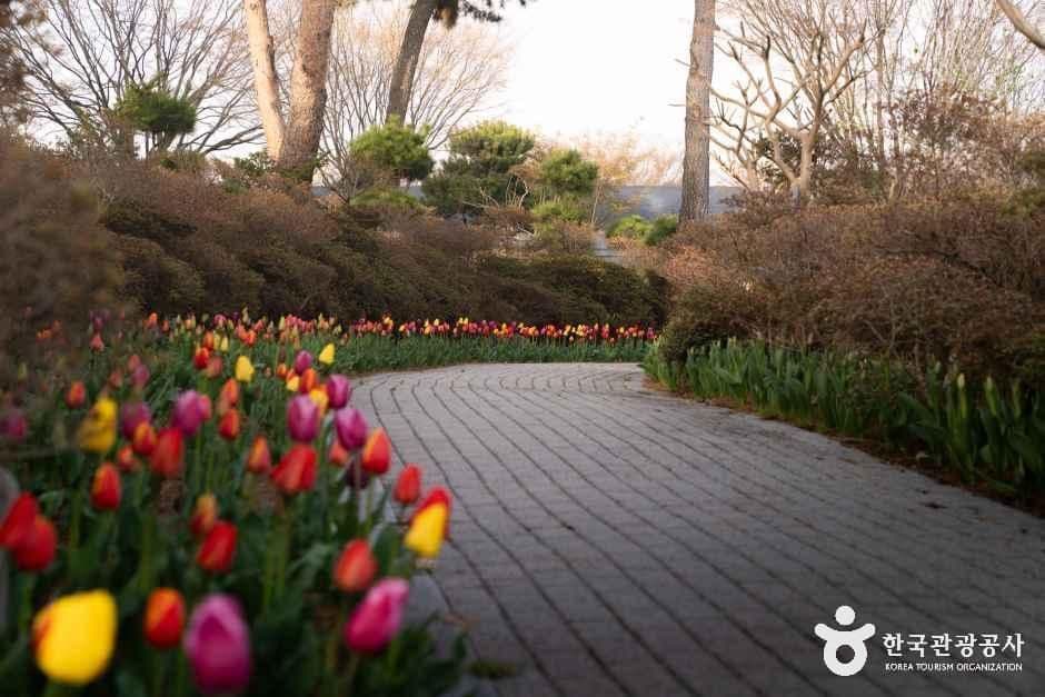 쉼이있는정원 사진 3