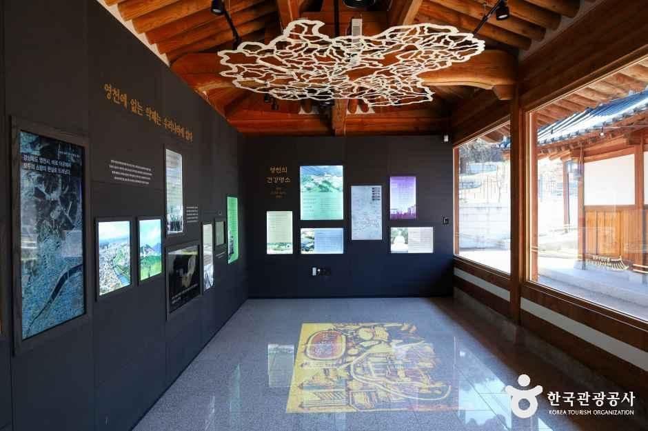 영천한의마을 사진 6