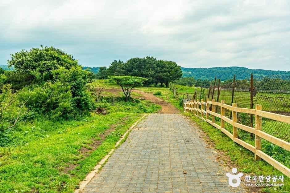 어승생승마장 사진 6