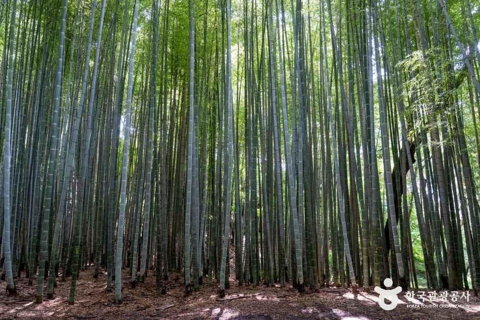 고창읍성 사진 1
