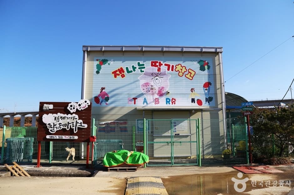 김해가야딸기테마파크