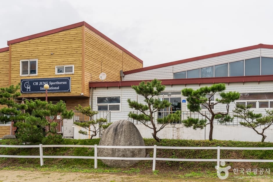 정철희 국제승마센터 천안점
