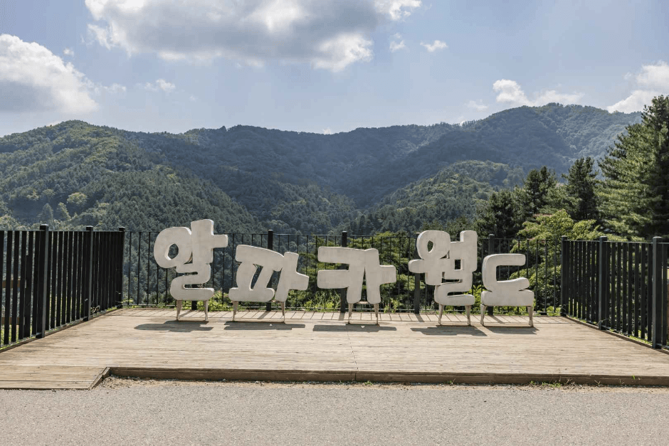 알파카월드 사진 1
