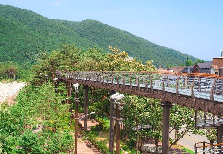 설악향기로 사진 7
