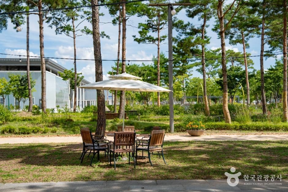세종중앙공원 사진 8