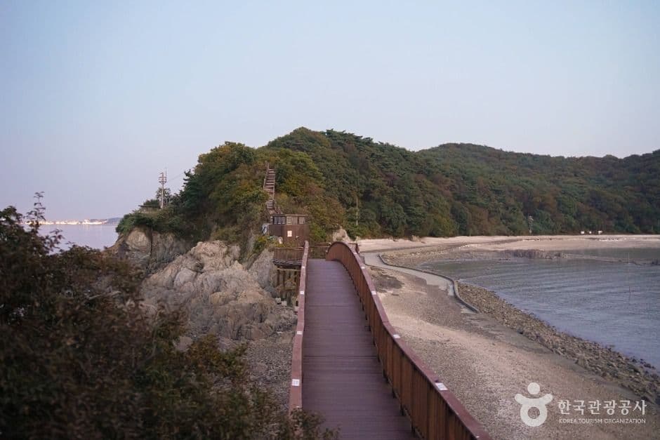 개미허리아치교 사진 3