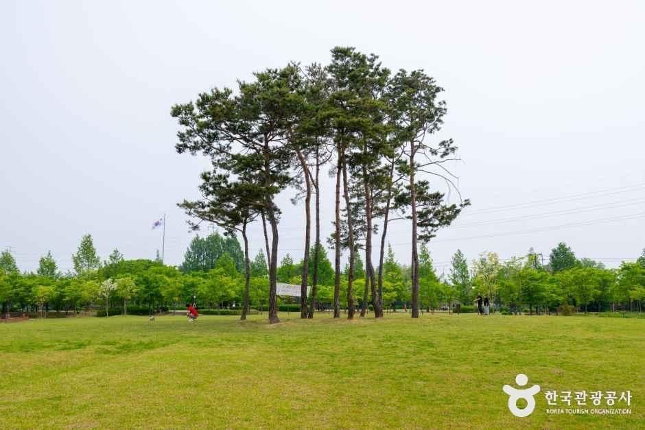 장자호수공원 사진 5