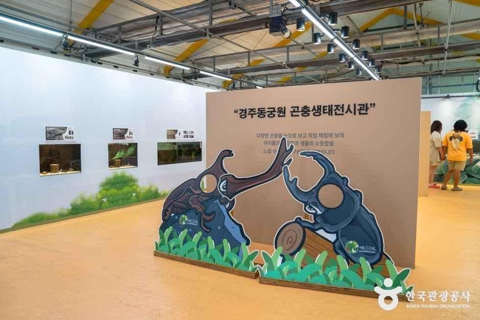 경주 동궁원 사진 7