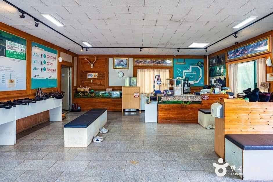 어승생승마장 사진 7