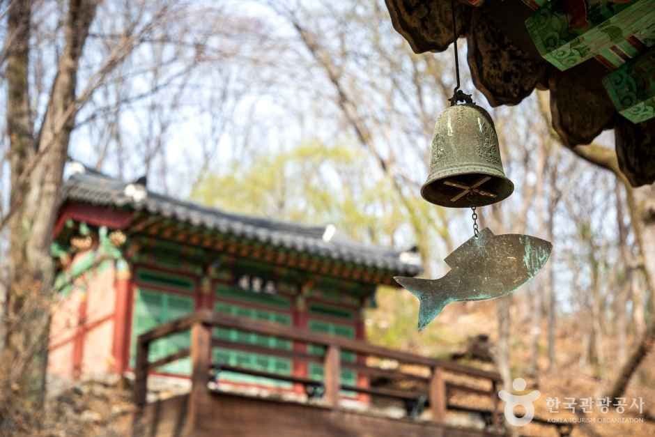 도피안사(철원) 사진 1
