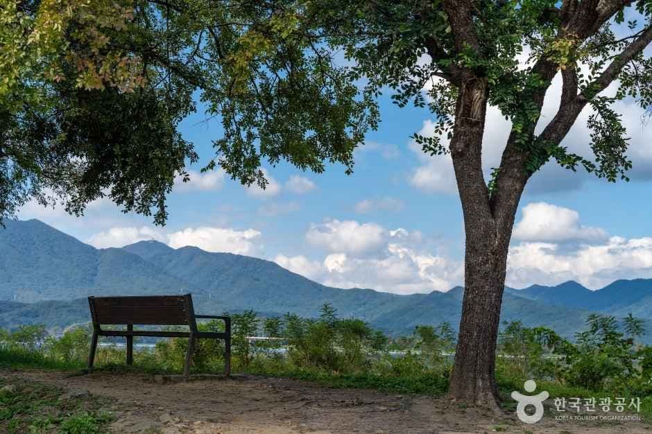 팔당물안개공원 사진 4
