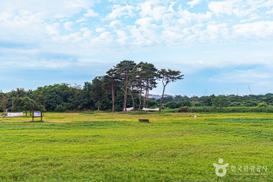 황룡친수공원 사진 1