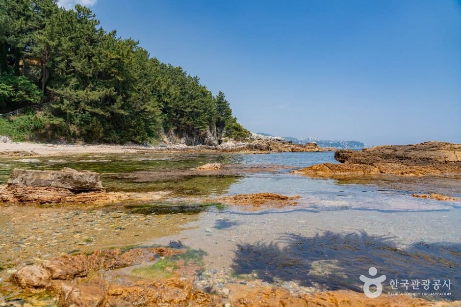 고불개해변 사진 4