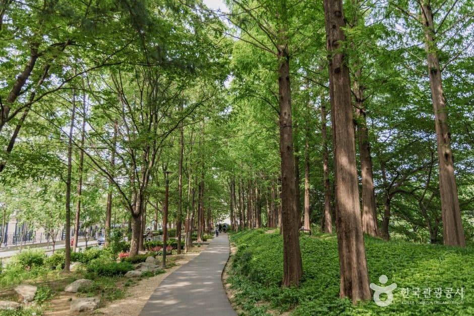 양재천 근린공원 사진 3