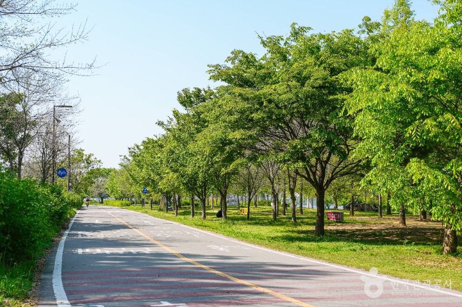 여의도한강공원 사진 1