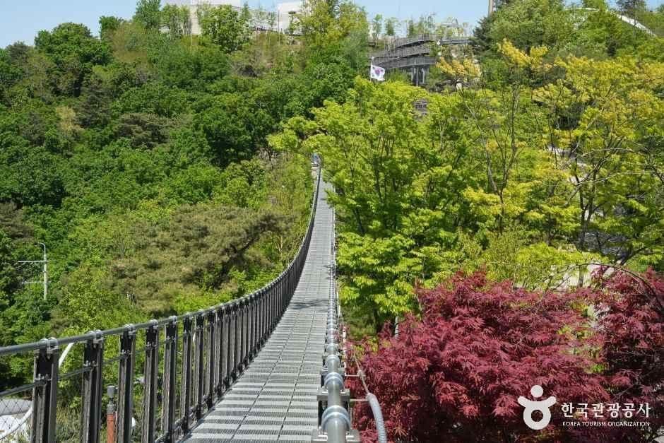 애기봉평화생태공원 사진 5