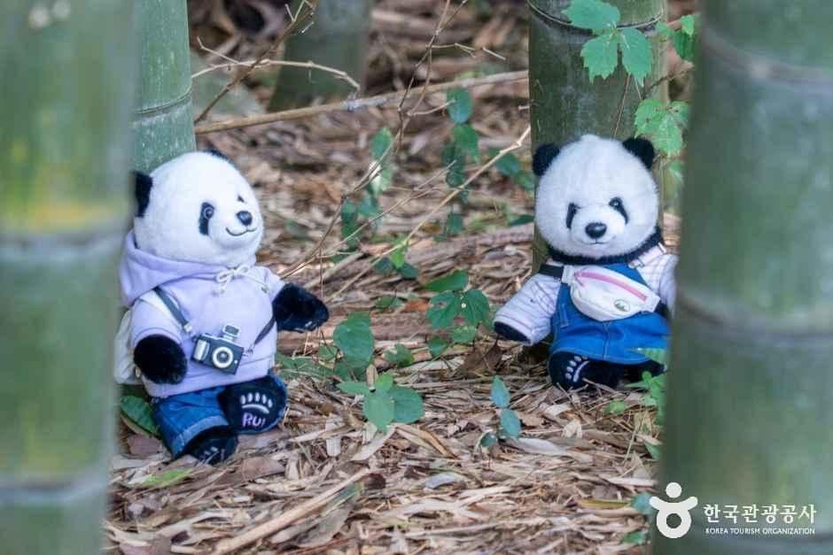 고창읍성 사진 3