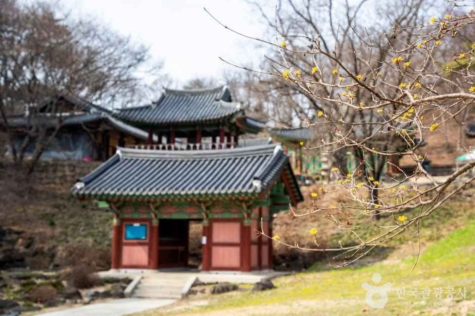 도피안사(철원) 사진 2