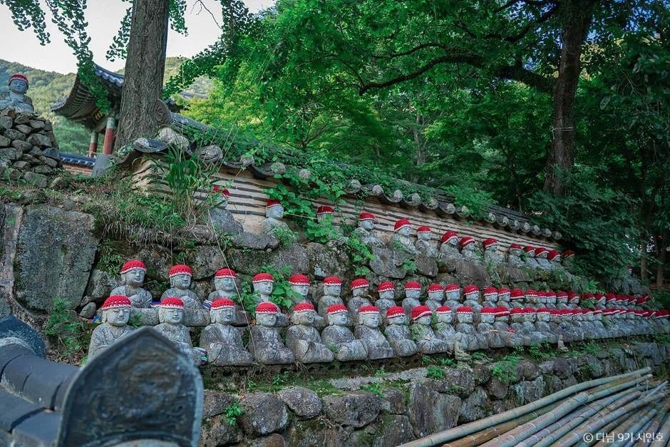 대원사(보성) 사진 1