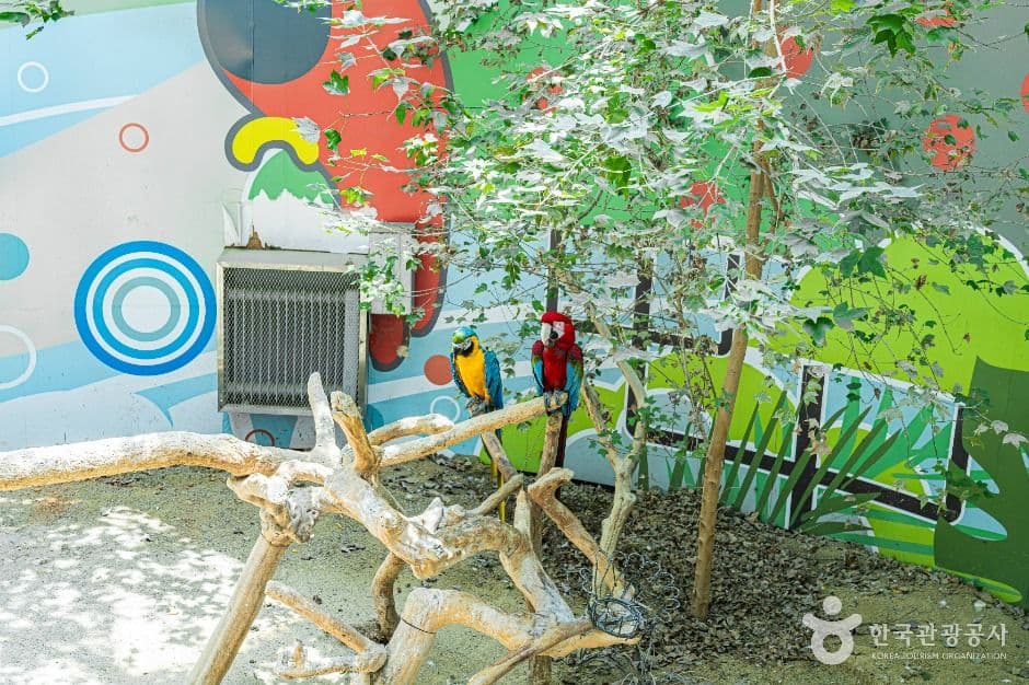 광주 우치공원 동물원 사진 2