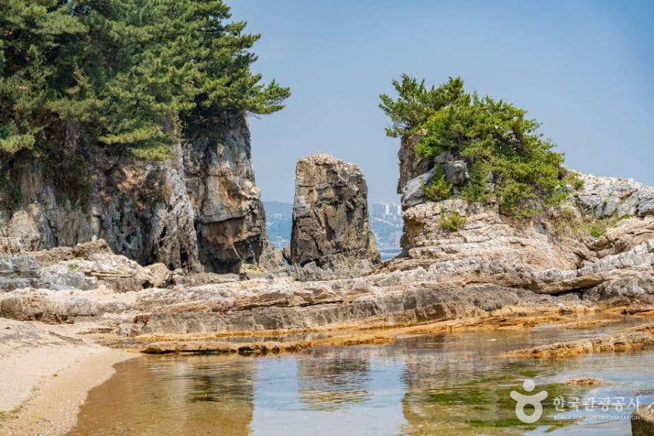 고불개해변 사진 5