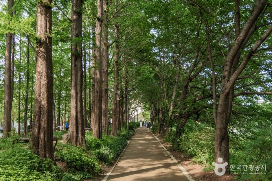 양재천 근린공원 사진 4