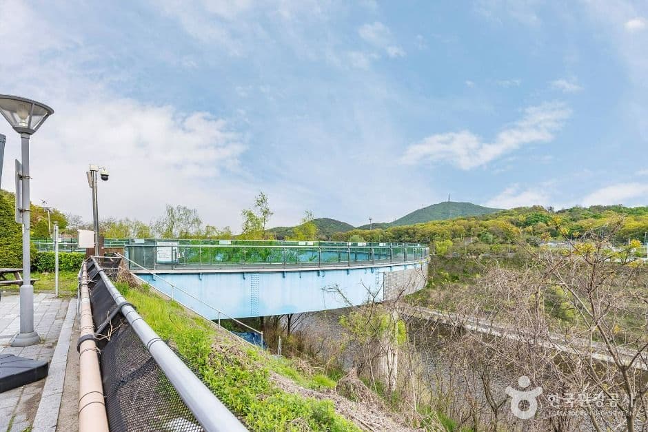 아라마루 전망대 사진 1