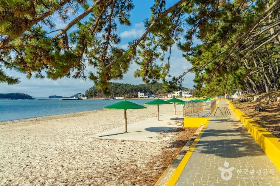 땅끝송호해수욕장 사진 4