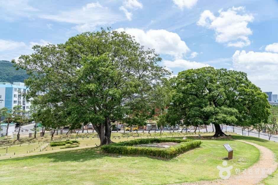 김해 대성동 고분군 사진 5