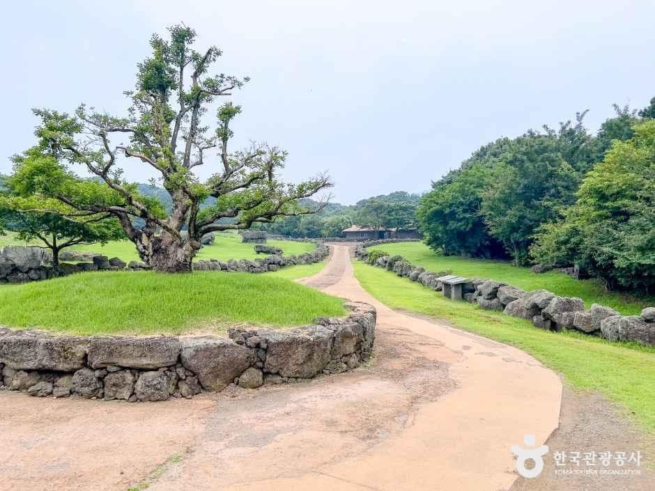 제주돌문화공원 사진 1