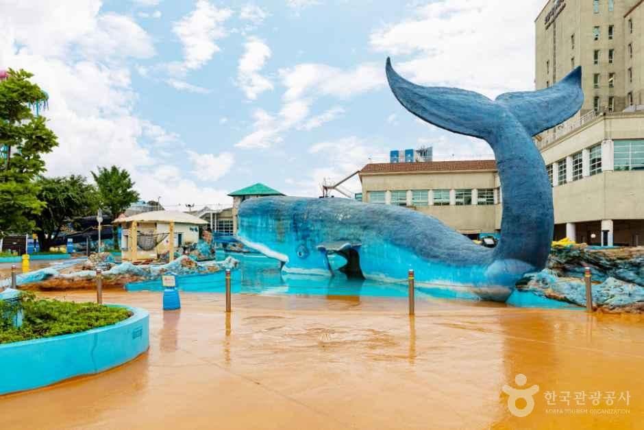 호텔마스타대천 워터파크 사진 1
