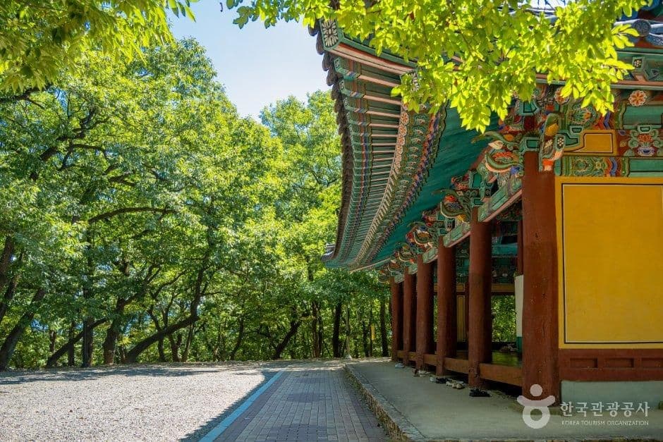 자인계정숲(경산 자인의 계정숲) 사진 2