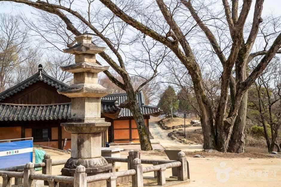 도피안사(철원) 사진 3