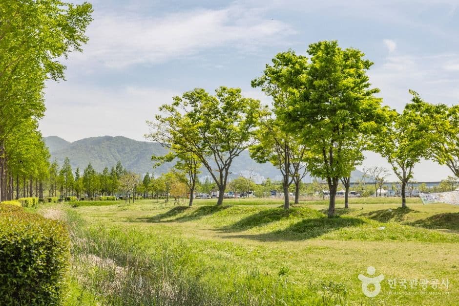 삼락생태공원 사진 2