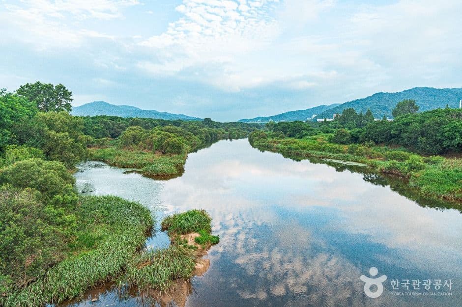 황룡친수공원 사진 2