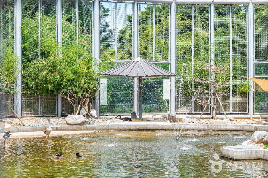 광주 우치공원 동물원 사진 3