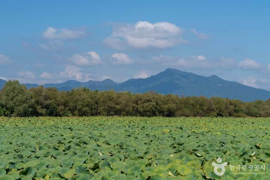 팔당물안개공원 사진 6