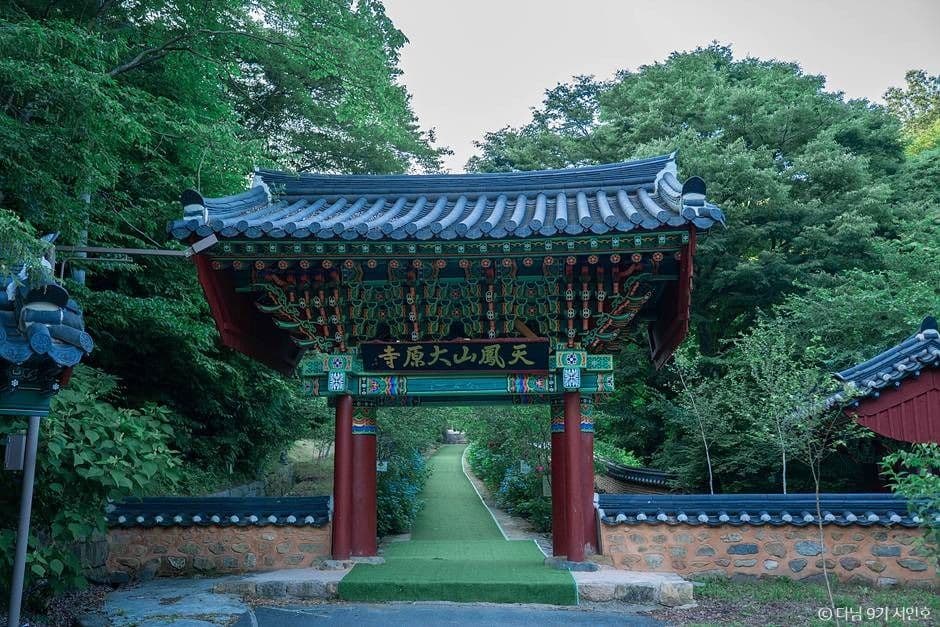대원사(보성) 사진 2