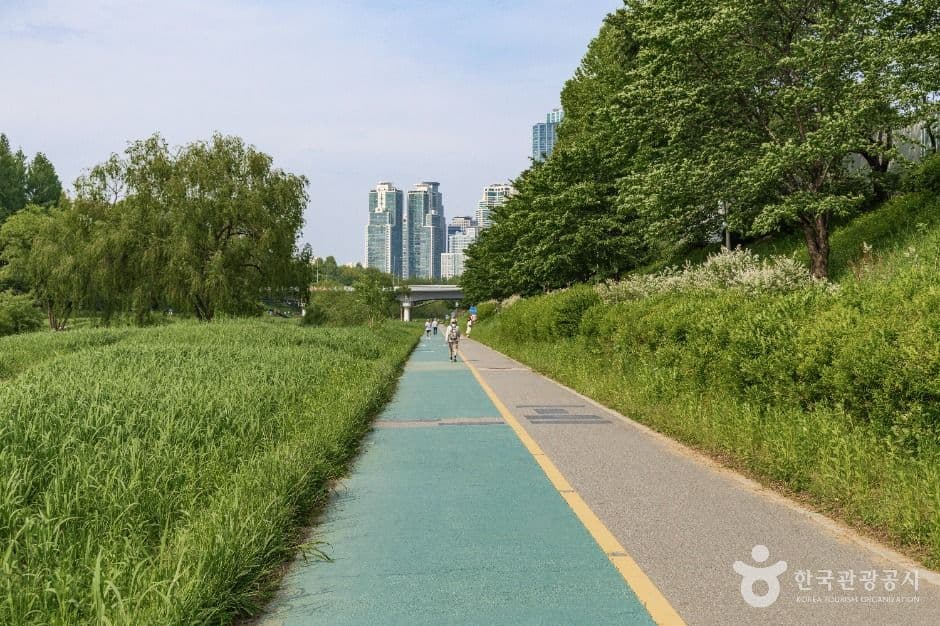 양재천 근린공원 사진 6