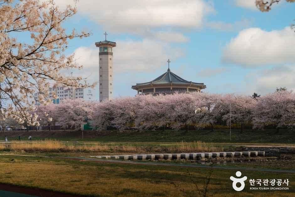 해미국제성지 사진 6