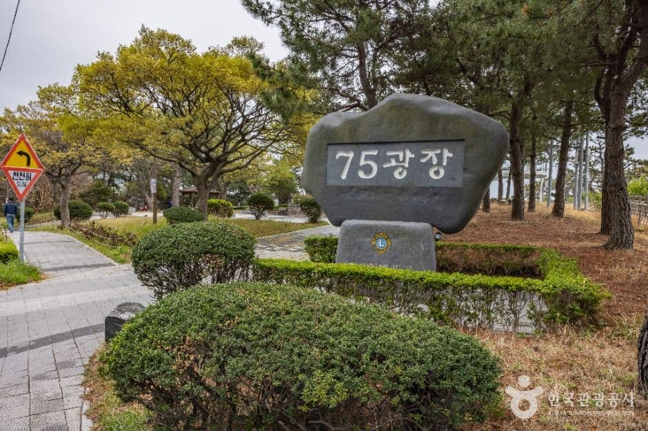 75광장 사진 8