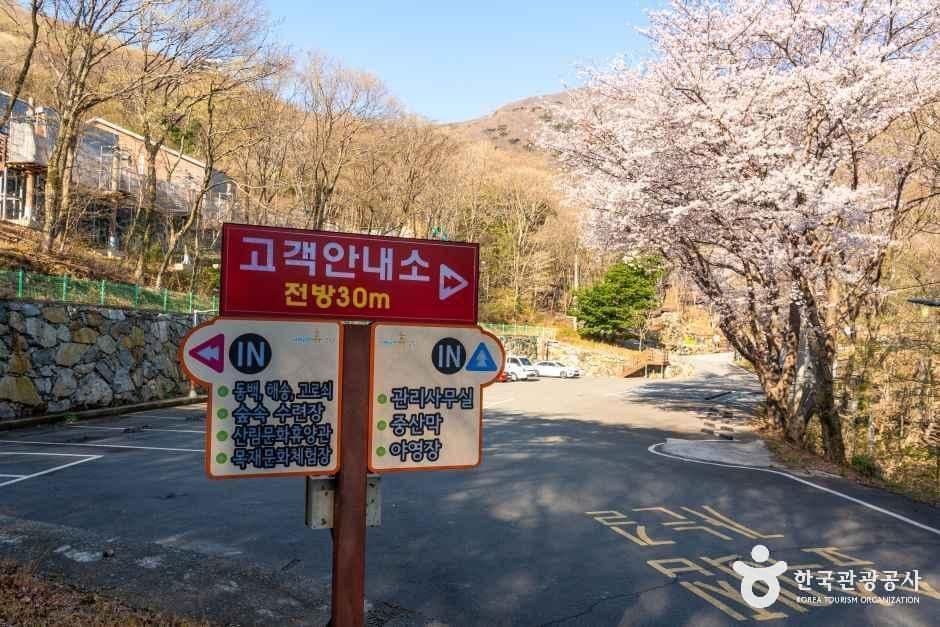 거제자연휴양림 사진 1