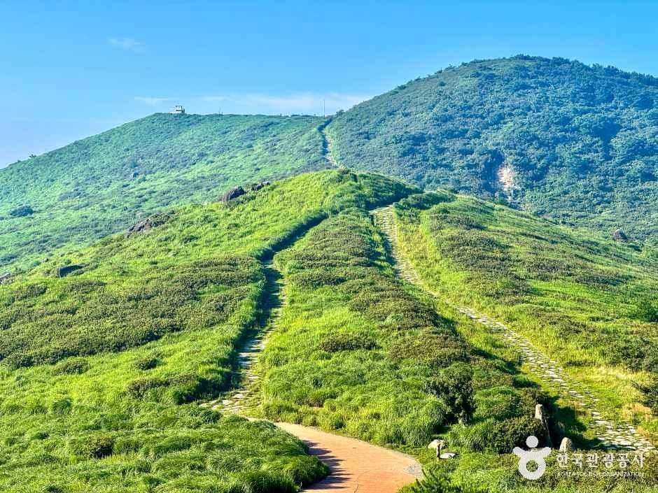 황매산(산청) 사진 3