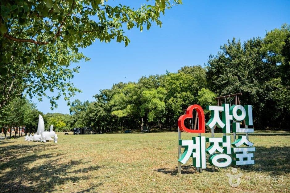 자인계정숲(경산 자인의 계정숲) 사진 3