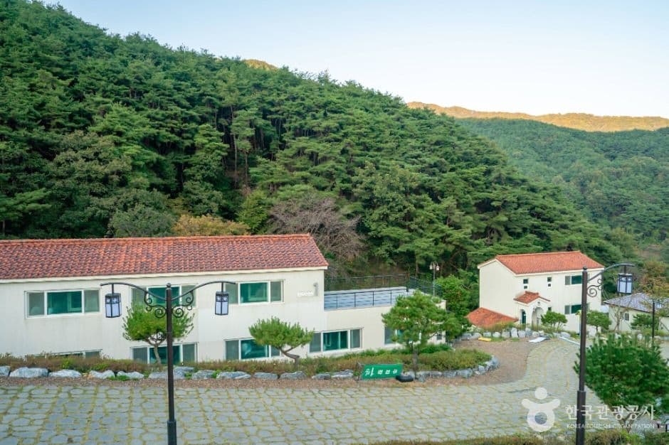 성모솔숲마을 사진 1