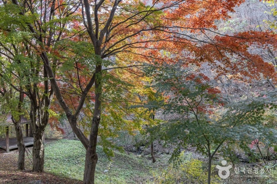 추월산 사진 1