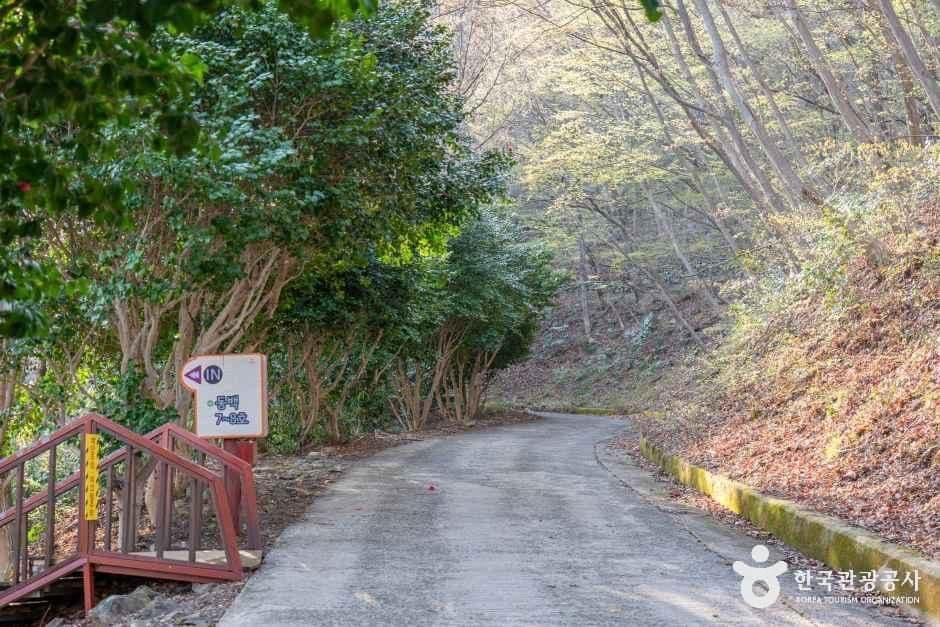 거제자연휴양림 사진 2