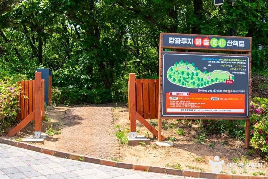 강화루지(강화씨사이드리조트) 사진 7