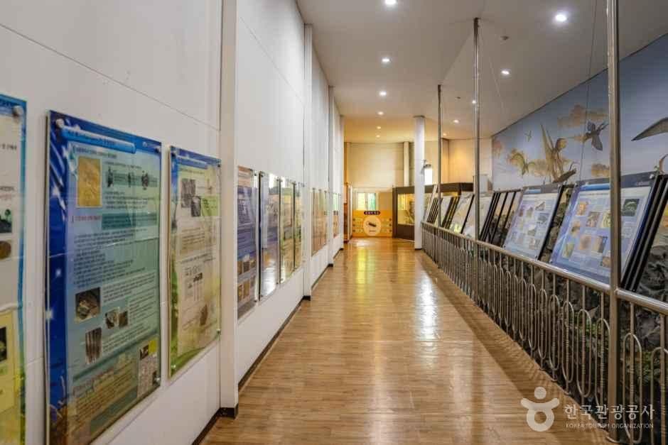 창조자연사박물관 사진 5
